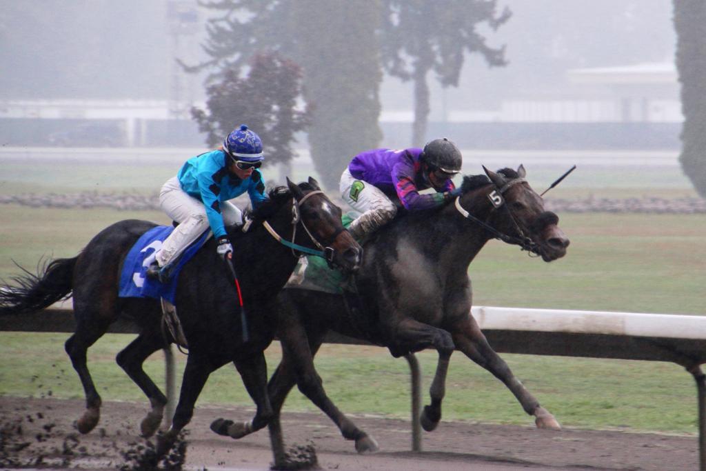 Kassie in turquoise on It Doesn't Add Up and Jake in purple on Dustin's Passion. (Julie June Stewart photo)